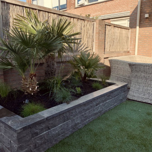 Siam Bluestone vijverrand 100x30x3 cm verzoet