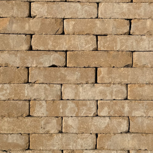 Gebakken Waalformaat 60 elg  Beige (M) 5x20cm