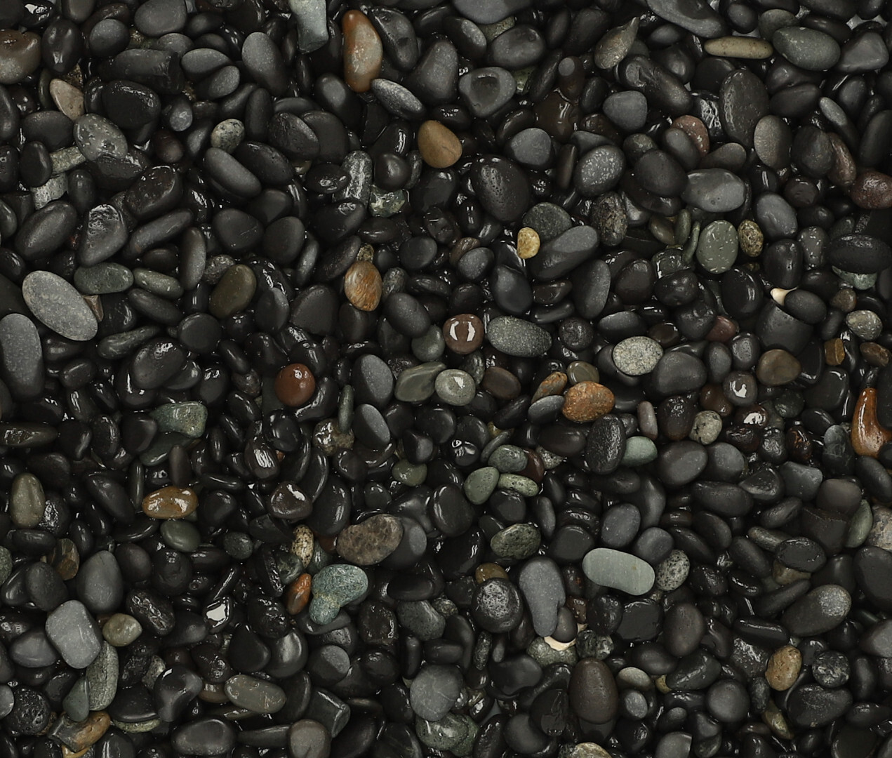 25 kg Beach Pebbles Black 8-16 mm