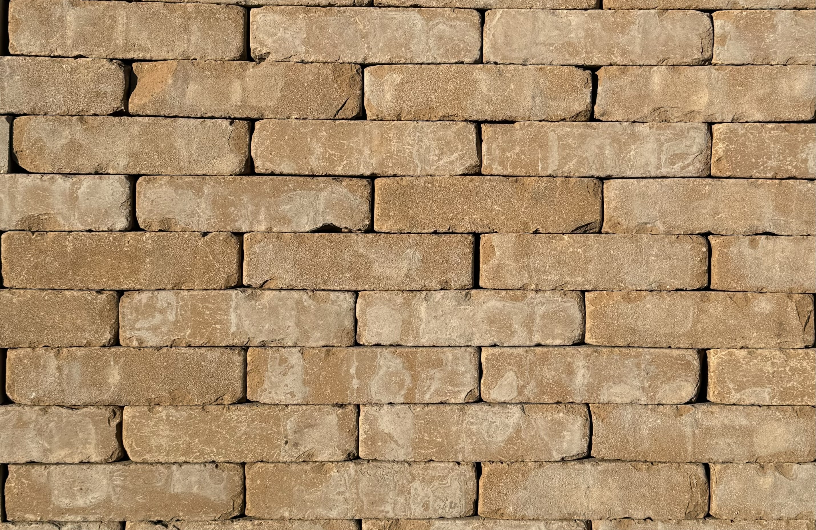 Gebakken Waalformaat 60 elg  Beige (M) 5x20cm
